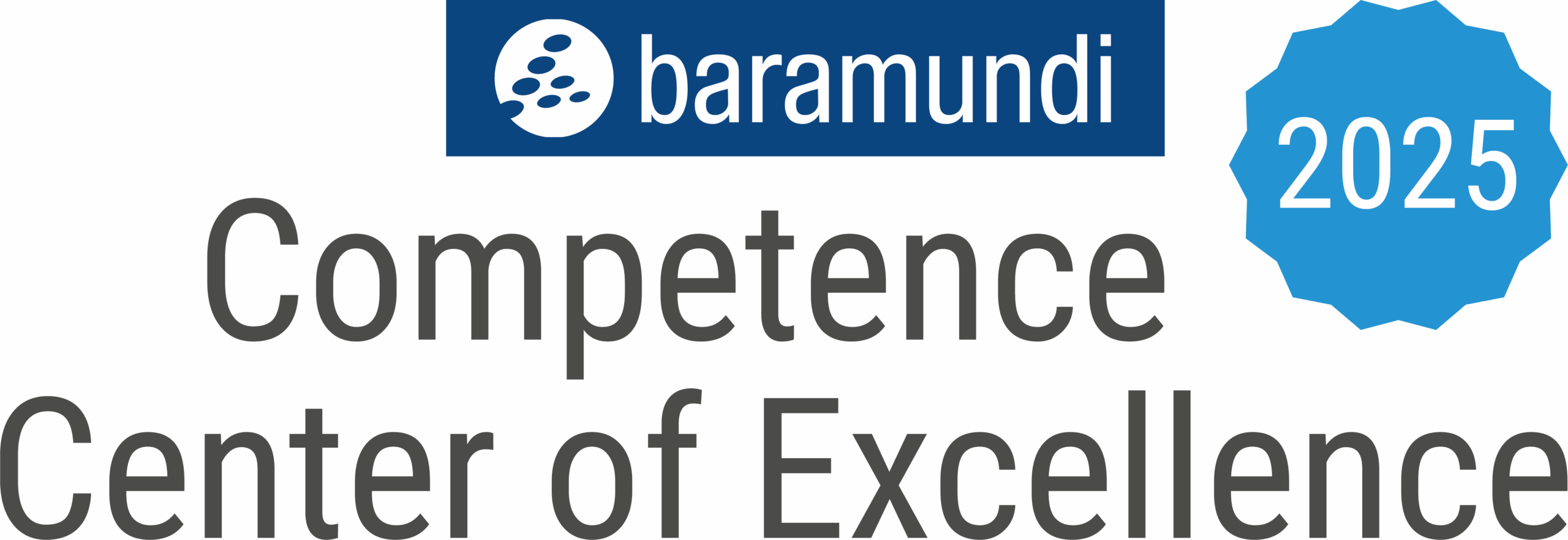 2025 baramundi competence center of excellence cmyk